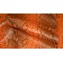 Aligo Group фото